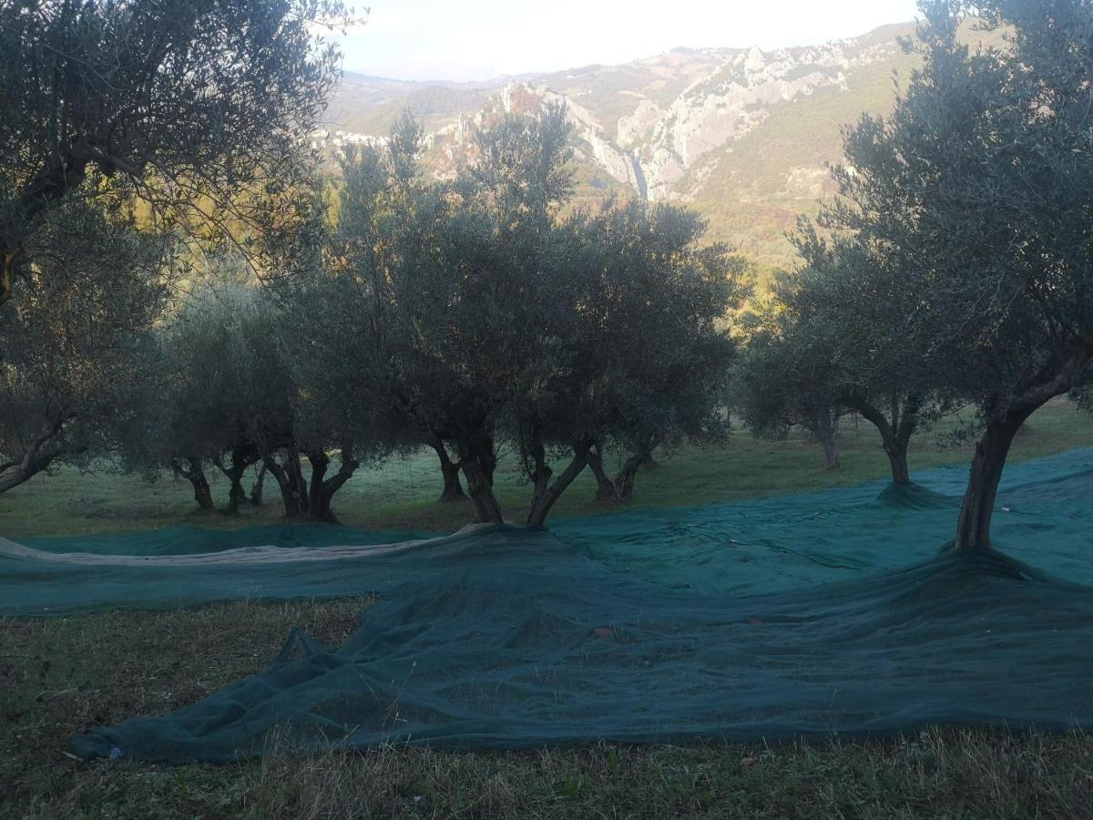 Agriturismo Olimpo Villa Santa Maria  المظهر الخارجي الصورة