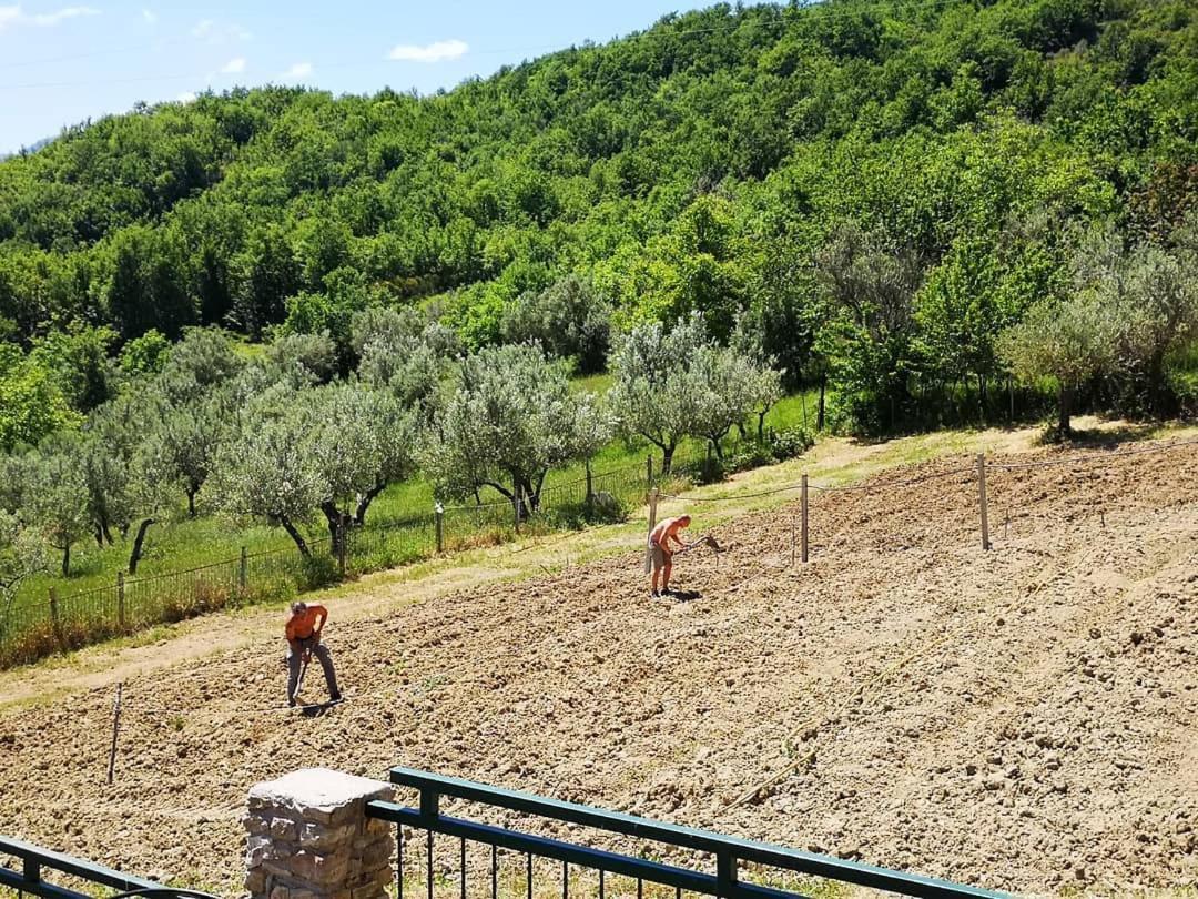 Agriturismo Olimpo Villa Santa Maria  المظهر الخارجي الصورة