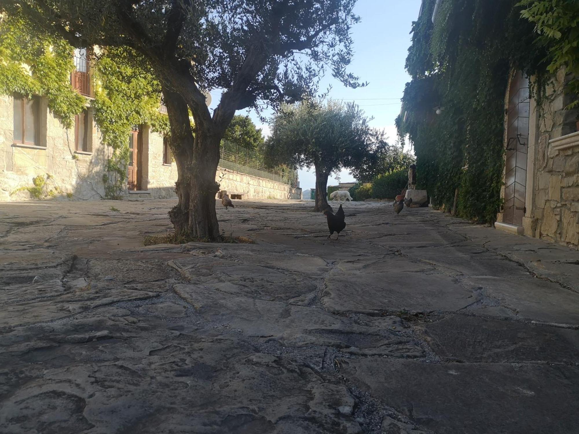 Agriturismo Olimpo Villa Santa Maria  المظهر الخارجي الصورة